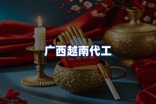 广西越南代工
